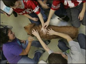 Kids at Bryan Middle School shower Allie with affectionate greetings every time she walks down the hall. 