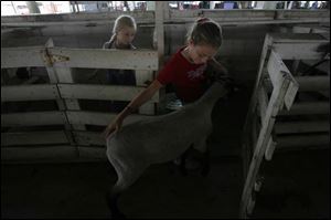 Alexis Circle, 10, left, watches her sister Bridget, 12, lead her lamb into its pen at the Fulton County Fairgrounds. The girls are both 4-H members who will participate in the fair.
