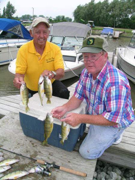 Lake-Erie-yellow-perch-haven-t-gone-with-the-wind-2