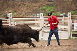 A bull charges at Johnny Knoxville in Jackass: Number Two.