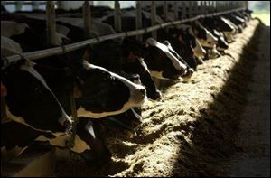 The Vreba-Hoff farm near Hudson, Mich., is one of two 'concentrated animal feeding operations' the firm has in the area.