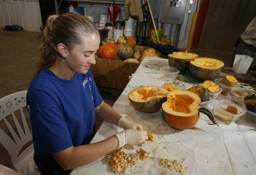Fulton-County-women-aim-to-use-gourds-to-squash-FFA-competition
