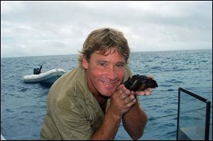 The late Steve Irwin holds a stonefish, one of the most venomous fish in the ocean, during the taping of Ocean s Deadliest.Most of the program had been completed when TV s  Crocodile Hunter  was killed in a freak accident.
