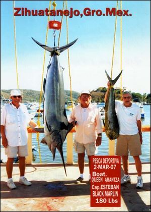 Fred Fox, left, and brother Dick double-teamed this 200-pound white marlin for an hour before they landed it.
