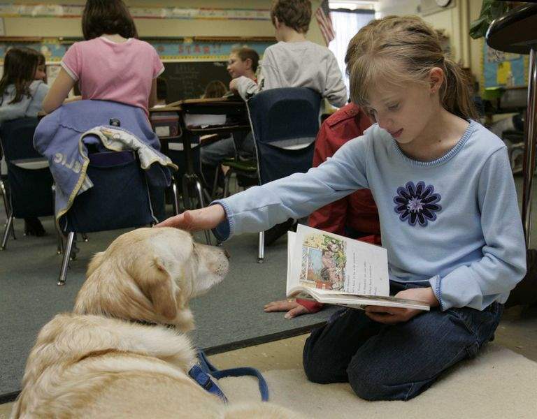 Canine-counselors-find-role-at-school