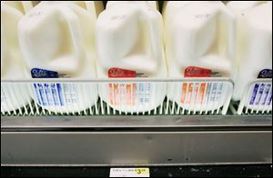 Gallons of milk at Bassett's Market in Perrysburg range in price from $3.19 to $3.29; prices as high as $3.70 are predicted by the end of the year. ohio state university Increasing costs for corn, a feed staple for dairy cattle, are contributing to the rising price of milk.