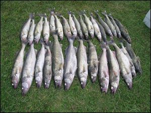 While many Lake Erie anglers catch average-size walleye, top row, in the deeper and open areas, the wily lake veterans search for bigger walleye in the rocks along the shore, bottom row.