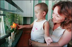Two-year-old Mukhammadzhon Shokirov, and his mother, Zamira, residents of Tajikistan, check out a fish tank at the Children's Lighthouse. They were brought to northwest Ohio by ISOH/IMPACT.