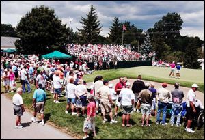 Fans watch the action at the No. 9 green yesterday in the opening round of the Farr Classic.