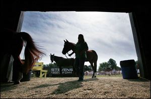 After an exercise jaunt around the fairgrounds, Loren Gehrke, 16, of Whitehouse leads her horse Scotch back to the barn.
