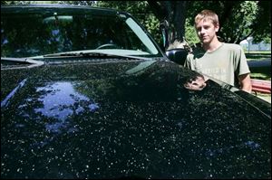Broc Coleman, 17, of Bolles Harbor, Mich., thought the substance on his grandfather s car was from the trees. 

