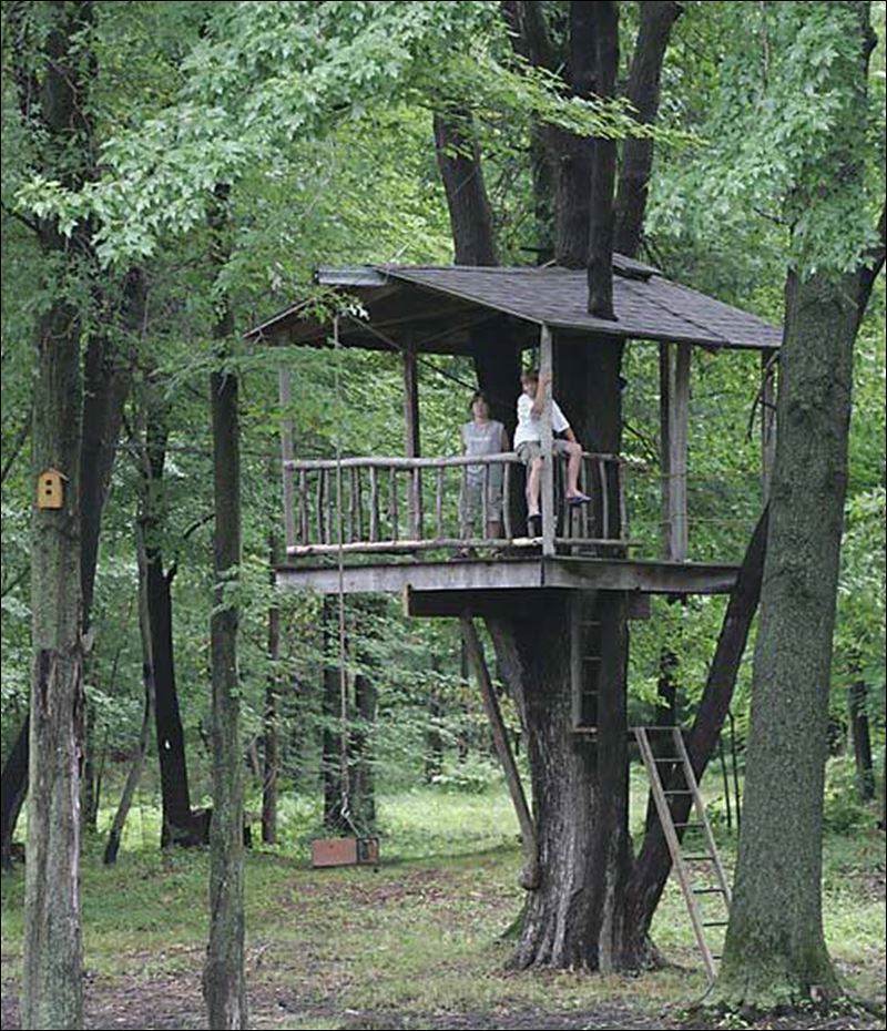 Tree houses: A kid s-eye view of the world - Toledo Blade
