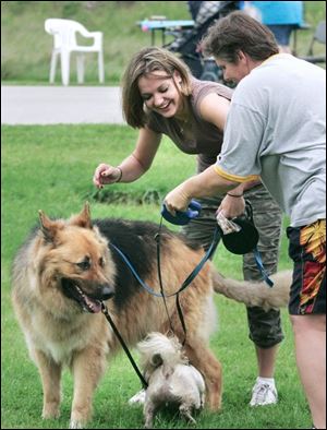 CTY dogs26p 08/25/07 The Blade/Dave Zapotosky Location: Secor Metropark, Berkey, Ohio Caption: Meghan Eurenius, of Erie, Michigan, left, untangles the leash of her dog Bartles, a Belgian Shepherd, from that of Hope Clark of Toledo, right, and her dog Austin, a Shih-tzu. They were attending the Dog Days event at Secor Metropark in Berkey Saturday. Summary: Please get shots of Metroparks Dog Days event at Secor Metropark, including a performance by 