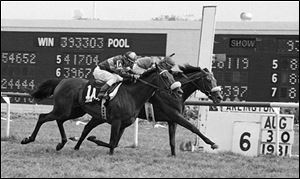 John Henry (1A), with Bill Shoemaker up, wins the Arlington on Million Sunday at Arlington Park in Arlington Heights, Ill., in this Aug. 30, 1981, race. It was a photo finish with The Bart, ridden by Ed Delahoussaye. 