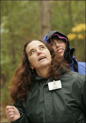 Slug: NBRE naturalists23p        Date: 11/17/2007         The Blade/Andy Morrison       Location: Oregon        Caption: Metropark Naturalist Kim High, left, and volunteer Deb Tefft, right, look for a bird during a monthly field training for Metroparks volunteer walk leaders and Volunteer Trail Patrol, at Pearson Metropark, Saturday, 11/17/2007.         Summary: