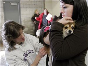 nbrn rabies21p     2/16/2008         The Blade/Herral Long    owners of pets getting their cats and dogs vacinated aganst rabies virus  at Monroe county animal control.  Andrea Penn of maybee mich  holds her palmerianion Tinky as Dr Dawn Hanusz with temperance animal hosp gives shot