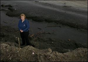 Sandy Bihn stands in 'lyngbya wollei' algae along the shore near her Maumee Bay home. The noxious weed, she and others say, is fueled by the Army Corps of Engineers' open-lake disposal of dredged silt.