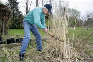 Rick Bryan, pictured dividing grass, will be a guest speaker at 9:15 a.m. Saturday at the Perennial Exchange in South Toledo.