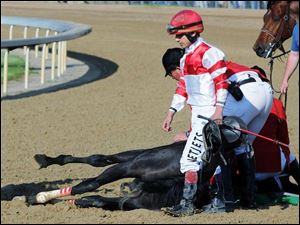 Jockey Gabriel Saez leaves as track personnel attend Eight Belles. The horse was euthanized after the Kentucky Derby.