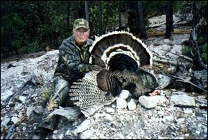 John Zuelke s Gould s turkey, which he shot in Mexico, weighed in at 21 pounds, with a nearly 10 3/8-inch beard. The native Toledoan almost gave up his pursuit of the royal slam.