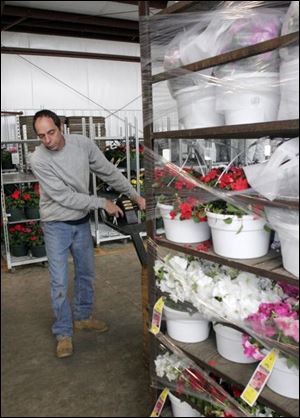 Douglas Tyson moves racks of pots at Gedert's Greenhouse, a program participant, which plans to hire five employees.
