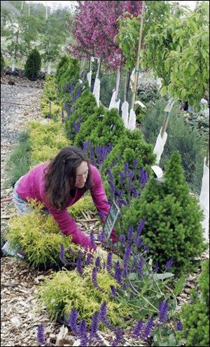 Claudia Fellman tends to plants at Gedert's Greenhouse, a program participant, which plans to hire five employees.