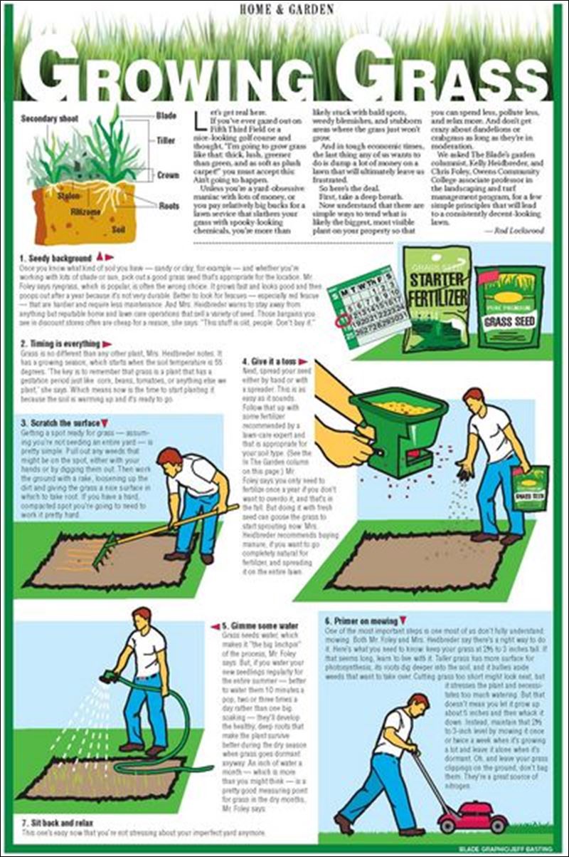 7 steps to growing grass Toledo Blade