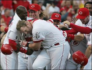 Cincinnati's Adam Dunn is mobbed by his Reds teammates after his game-winning home run.
