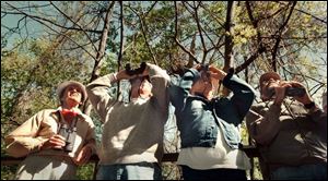 This could be the scene at Magee Marsh Bird Trail during May of any year as avid bird spotters scan the trees for warblers.