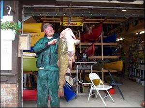 Maumee River angler John Wagner hoists a pair of flatheads caught in the Grand Rapids Dam area.