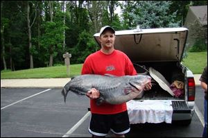 Keith Setty of Lynchburg, Ohio, caught this giant blue catfish on 30-pound-test line. It s 45  inches long and 32  in girth.