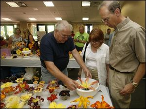 nbrsdaylilyp    7/13/2008        The Blade/Herral Long   Jack Church of weston oh who has over 900 varieties of day lilys shows Barbara and David Milanowski  of holland his  huge - foot actoss daylilly     You Ever Wanted to Know About Daylilies? is the theme of the  Daylily Expo that the Black Swamp Hosta and Daylily Society will host on  Sunday, July 13th. The expo will be held in the Terrace Room at the  Conference Center of Toledo Botanical Garden, 5403 Elmer Drive,  beginning at 1 PM. It is free and open to the public. Lots of daylilies  will be on exhibit, plus special demos and programs will be presented  during the afternoon until 4 PM. A floral arranging demo using daylilies  will be given by Pat Anthanitis, Fran Houghtlen will present a program  entitled ?More Than a Pretty Face?, and learn how to divide a daylily  clump. You can tour the national daylily display garden, sample daylily  soup and daylily salad, see the ?privy? daylily exhibit and exhibits on  daylily hybridizers, and talk to members of the Black Swamp Hosta and  Daylily Society who will be on hand to answer your questions. If you  need more information, please call Joyce at 419-841-3905.