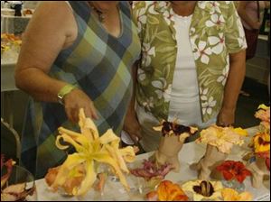 nbrsdaylilyp    7/13/2008        The Blade/Herral Long   Chris Keast-Doty  of  Maumee looks at her daughters Shelly Abramczyk (of holland )  dayliliy flower display    You Ever Wanted to Know About Daylilies? is the theme of the  Daylily Expo that the Black Swamp Hosta and Daylily Society will host on  Sunday, July 13th. The expo will be held in the Terrace Room at the  Conference Center of Toledo Botanical Garden, 5403 Elmer Drive,  beginning at 1 PM. It is free and open to the public. Lots of daylilies  will be on exhibit, plus special demos and programs will be presented  during the afternoon until 4 PM. A floral arranging demo using daylilies  will be given by Pat Anthanitis, Fran Houghtlen will present a program  entitled ?More Than a Pretty Face?, and learn how to divide a daylily  clump. You can tour the national daylily display garden, sample daylily  soup and daylily salad, see the ?privy? daylily exhibit and exhibits on  daylily hybridizers, and talk to members of the Black Swamp Hosta and  Daylily Society who will be on hand to answer your questions. If you  need more information, please call Joyce at 419-841-3905.