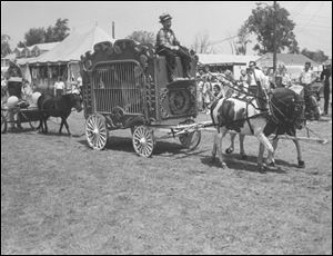 A circus wagon navigates the grounds during the 1965 Lucas County Fair. The fair moved from Dorr Street in Toledo to its present location in Maumee   then Adams Township   in 1917.