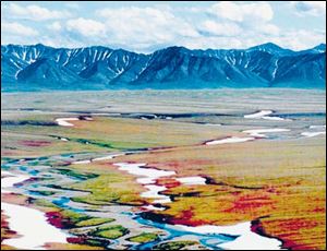Estimates indicate that 10.6 billion barrels of oil lie beneath the Arctic National Wildlife Refuge in Alaska, and as much as 750,000 barrels could be pumped from there daily.