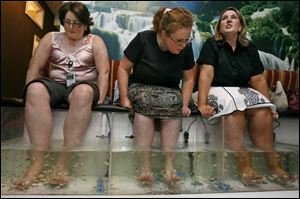 Three pedicure customers soak their feet in their individual fish tanks at the salon in Alexandria, Va. 