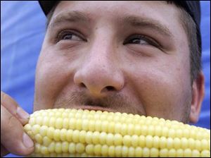 NBRN petersburg24p  07/19/2008  Blade Photo/Lori King  Petersburg resident Aaron Myschock appraises freshly-picked corn (6 a.m. this morning) that's being sold for $3 per dozen, during Petersburg Community Days in Petersburg, Mich.