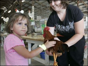 CTY lucasfair24p 07/24/2008  Blade Photo/Lori King  Blissfield, Mich. resident Iris Trumbull, 3, pets a rooster, held by its owner Ashley Bird, during Lucas County Fair in Maumee, Ohio.CTY lucasfair24p 07/24/2008  Blade Photo/Lori King  at Lucas County Fair in Maumee, Ohio.