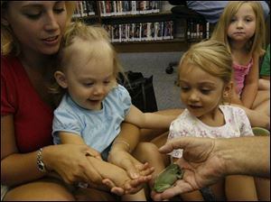nbrn critters31p  7/24/2008  blade photo by herral long  Paul McCormack  with his classroom critters at the Vivian Branch library7   Allison Smith  holds her daughters Karlie Smith 20 mo hand  to pet the tree frog  as sisters Karlie 4 looks on