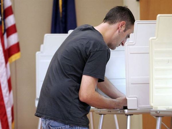 Michigan voters to decide on marijuana, redistricting initiatives
