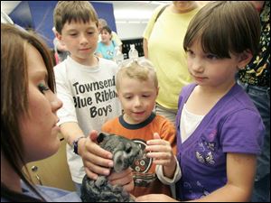 NBRW penta02p   09/28/2008 The Blade/Dave Zapotosky Caption: Amanda Ireland, 16, left, a student in the small animal care program at the Penta Career Center in Perrysburg, Ohio, holds a chinchilla being petted by siblings Max Saxer, 9, Cody Saxer, 5, and Paige Saxer, 6, of Vickery, Ohio, during the school's open house Sunday, September 28, 2008.  Ireland is from Oak Harbor and Oak Harbor is her home school.  Summary: Open house at the Penta Career Center.