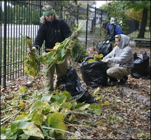 Volunteer Molly Burr of Bloomfield Hills, Mich., helps get the grounds of Toledo Botanical Garden ready for winter.