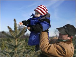 NBRN matthes04p  Maximus Attard, 3, considers marking a tree he likes as he's held up by his dad Ben. They live in Dearborn, Michigan. 25th annual Christmas tree festival at Matthes Evergreen Farm in Ida, Michigan, on November 29, 2008.  The Blade/Jetta Fraser