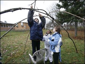 NBRW wigwam04p 11/25/08  The Blade/Dave Zapotosky Caption: Joey Holston, 11, ties frame parts together as he and his classmates build a wigwam at the George A. Phillips Academy, in Toledo, Ohio, Tuesday, November 25, 2008.  Looking on are Timira Robinson, 9, and teacher Kari Burmeister.  Summary:  Students at the George A. Phillips Academy will celebrate Native American Heritage Month by constructing a wigwam.