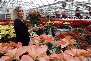 Alicia Bostdorff Timm stands with the trial poinsettias at Bostdorff's. There are experimental cuttings in 42 varieties. 