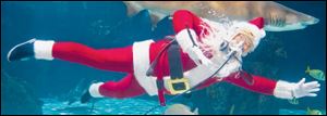 Scuba Santa waves to fans from a shark tank at the Newport Aquarium in Newport, Ky., a popular seasonal event in the area.