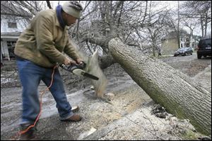 Sterling Davis, 44, of Seyburn Street in Detroit takes matters into his own hands after a large tree fell in front of his house blocking the street Sunday. Tens of thousands of customers were without power Sunday in Michigan after high winds hit the state, knocking down tree limbs and power lines. A high wind advisory was in effect, and gusts about 50 mph were reported.