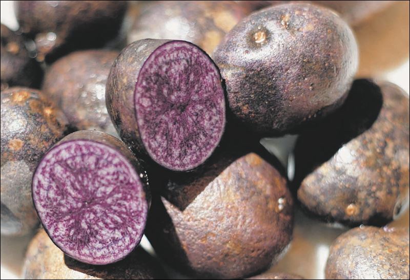 Food banks to gourmet chefs bring inspiration to vegetable dishes