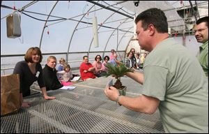 Slug: CTY bonsai16p                       Date 3/15/2009           The Blade/ Amy E. Voigt                     Location: Toledo, Ohio  CAPTION: Diana Davis, left, asks questions about her bonsai tree while teacher Robert Bishop, right, points out that it is healthy during the first-ever bonsai club meeting in Toledo at Ben Sell Greenhouse on March 15, 2009.