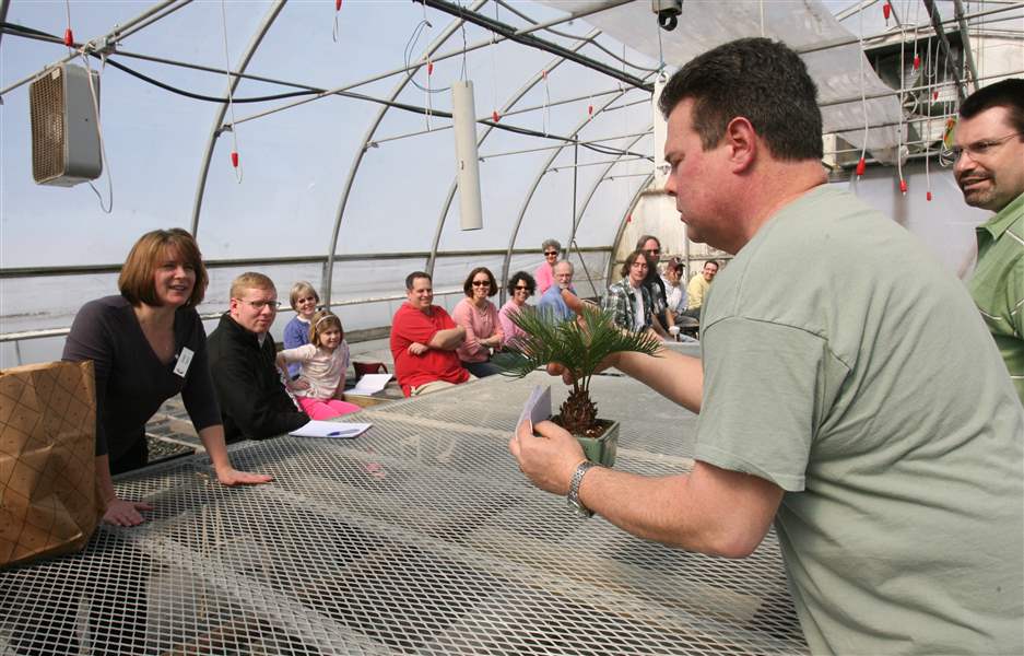 Big-day-for-tiny-trees-at-Ben-Sell-Greenhouse